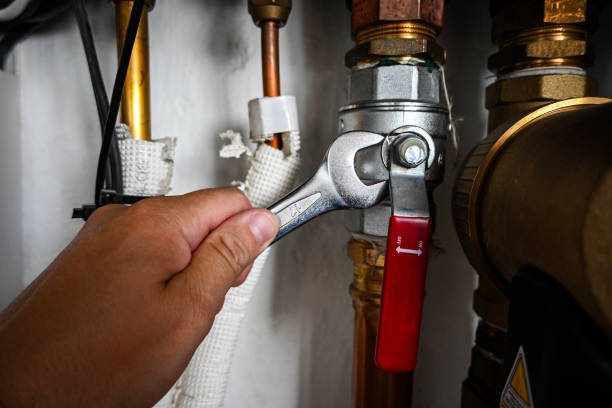 Best Local Plumber Services  in Toast, NC